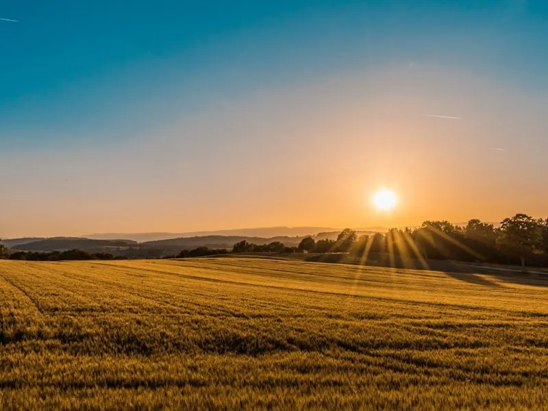Farms & Pastoral Stations