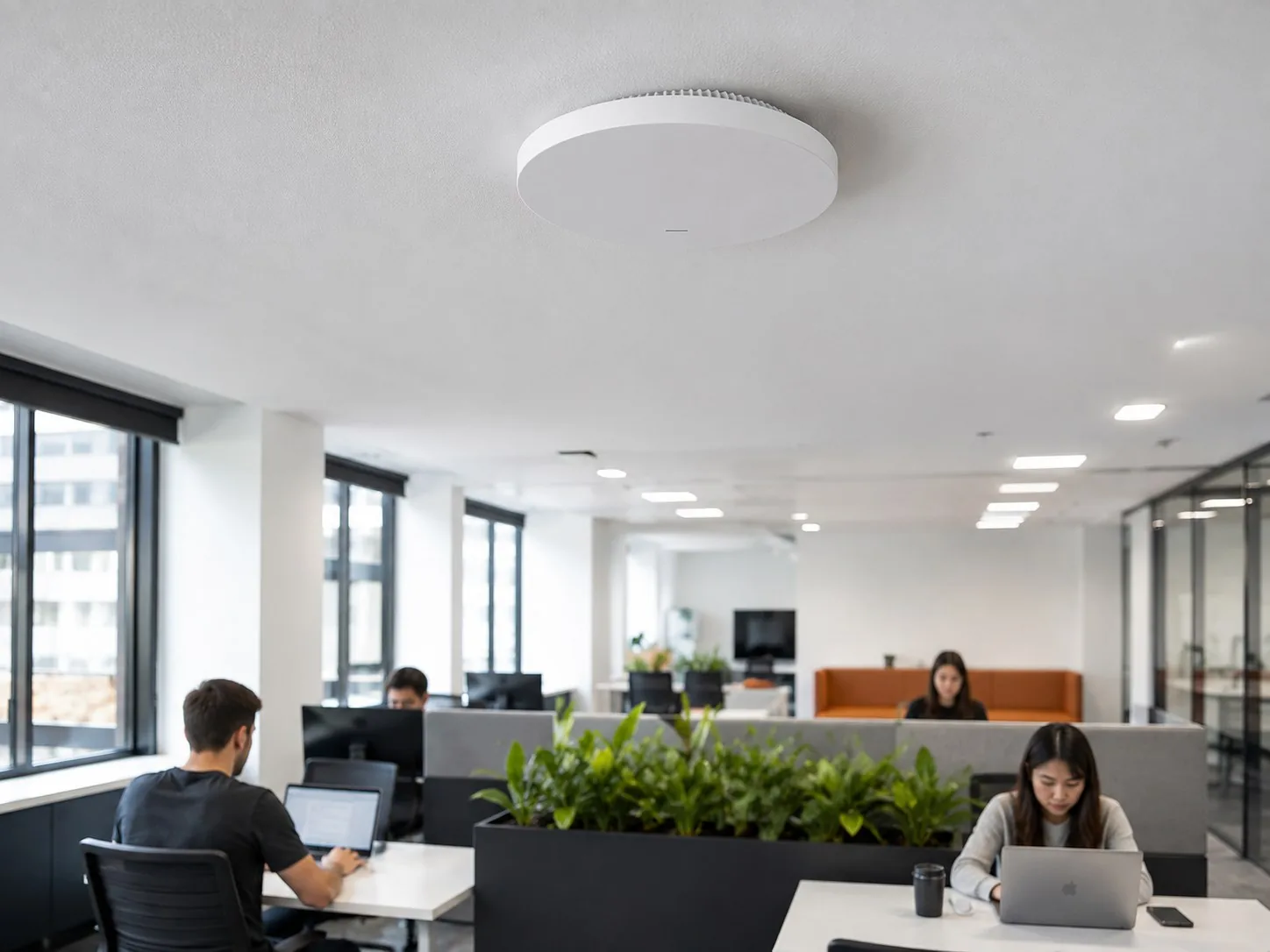 Dual-Band WiFi 6 Long-Range Access Point - Professional Installation
